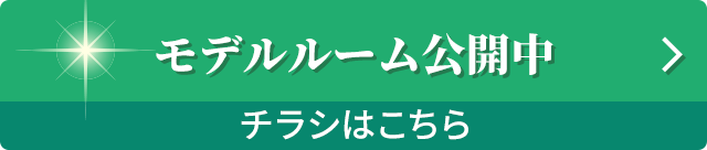モデルルーム公開中　チラシはこちら
